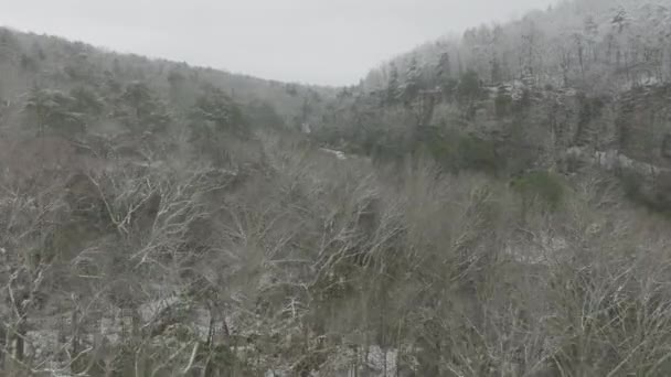 Aerial Video Flying Trees Winter Reveal Waterfall — Vídeo de stock