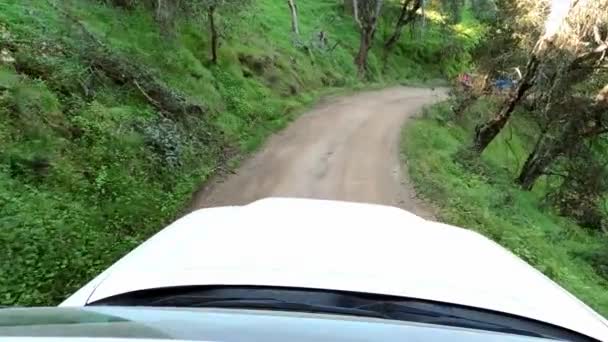 4X4 Driving Dangerous Dirt Road Forestry Area California Pov View — Stok video