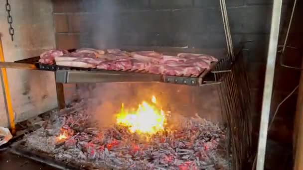 Pork Chops Black Pig Ribs Grilling Vine Shoots Fire — Wideo stockowe