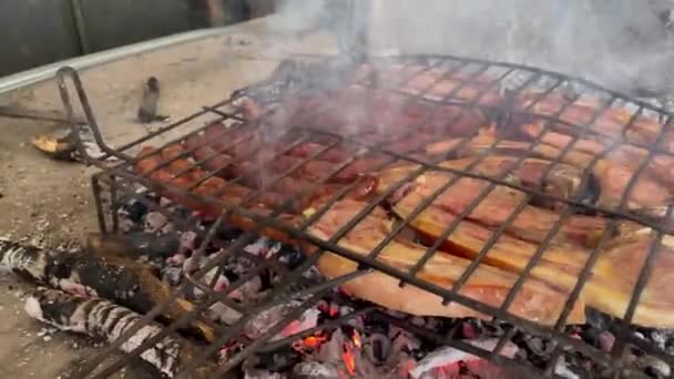 Barbecue Vine Shoots Fire Sausages Lamb Chops France — Videoclip de stoc