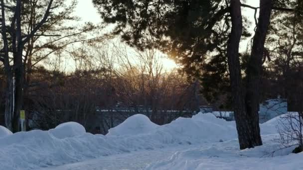 Портативний Знімок Низького Сонця Світиться Шляху Через Сніг Блимає Лінза — стокове відео