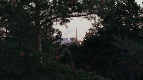 Entfernter Fabrikschornstein Zwischen Ästen Grünen Nadelwald — Stockvideo