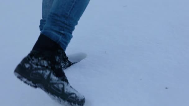 Close Ground View Legs Boots Jeans Walking Deep Snow — Stockvideo