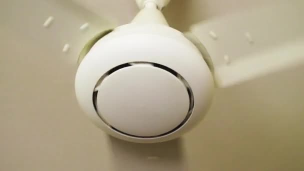 Rotation Ceiling Fan Typical Household Ceiling Fan Motion Slow Motion — Stock videók