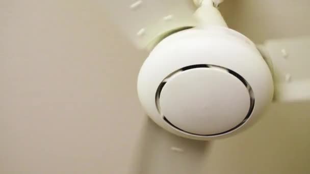 Rotation Ceiling Fan Typical Household Ceiling Fan Motion Slow Motion — Vídeo de Stock