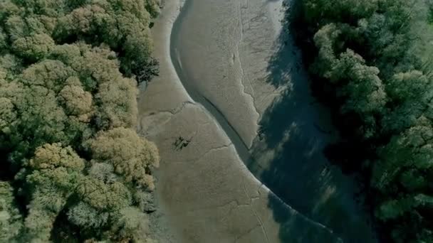 Arriba Hacia Abajo Antena Arroyo Salvaje Naturalmente Abundante Otoño — Vídeo de stock