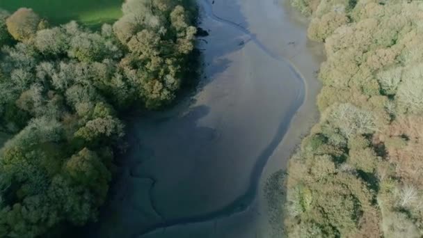 Top Aerial Mouth Creek River — стоковое видео