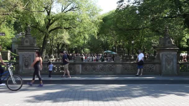 Wide Shot People Walking Bicycle Riding Central Park New York — Stockvideo