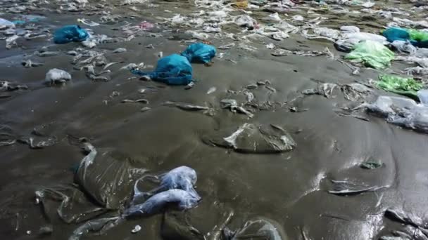 Sandy Ocean Coastline Covered Piles Plastic While Young Beautiful Woman — Video Stock