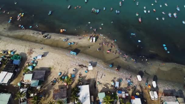 Tropical Coastline Many People Sorting Taking Freshly Caught Fish Aerial — Stock video
