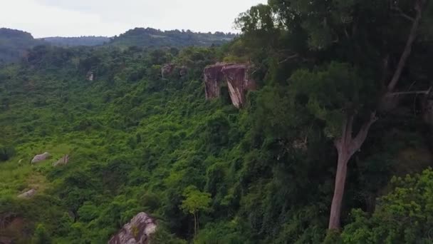 カンボジアのシェムリアップ州の近くにあるプノンペン クレン国立公園の美しい緑豊かなジャングルの風景 広角空撮 — ストック動画