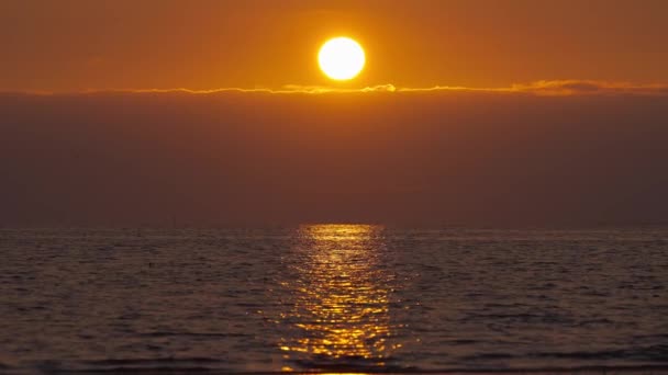 Golden Sunset Över Havet Reflekterar Vackert Havsvatten Ensam Fågel Flyger — Stockvideo