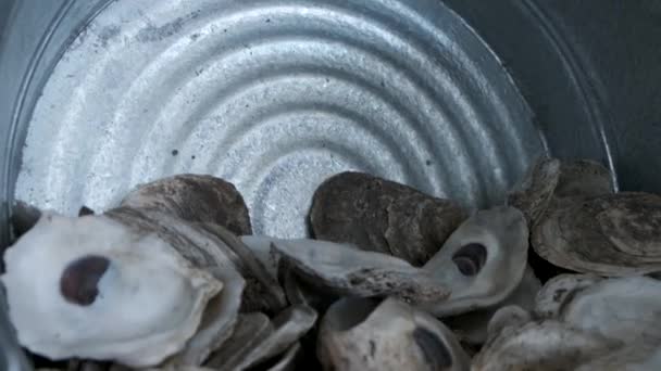 在金属容器中慢慢地把牡蛎放大 — 图库视频影像
