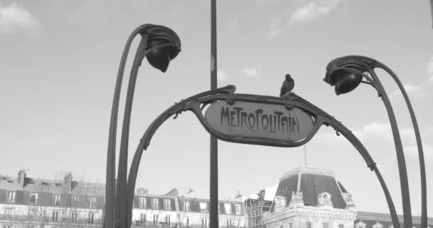 Pták usazený na výrazném ručně kresleném metropolitním nápisu na stanici metra Saint-Michel v Paříži ve Francii. Monochromatický. nízký úhel