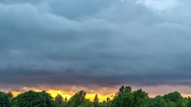 Timelapse Nuvens Místicas Escuras Paisagens Nubladas Voando Céu Sobre Exuberante — Vídeo de Stock