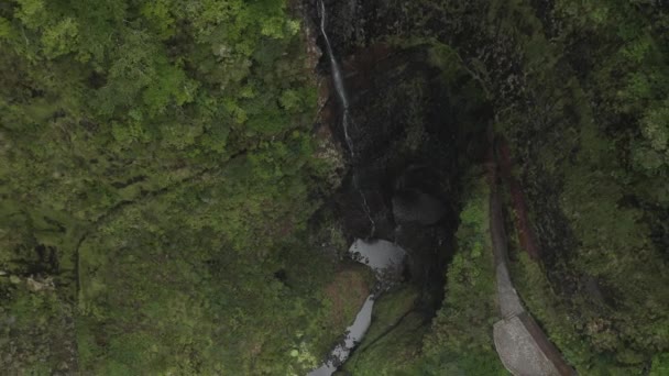 Imágenes Cascada Lagoa Vento Madeira — Vídeos de Stock