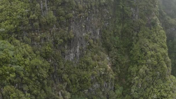 Aerial Shot Moving Sideways Lagoa Vento Waterfall Madeira — ストック動画