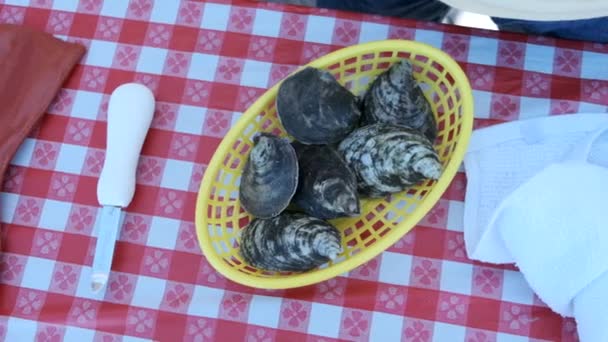 Shot Oysters Oyster Eating Contest — Stockvideo