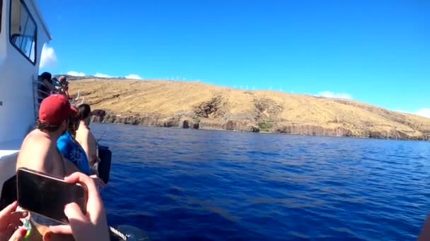 People Whale Watching Boat Holding Cell Phone Cameras Pointing Mom — ストック動画