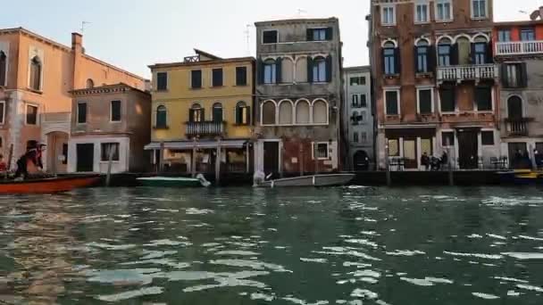 Team Four Rowers Training Rowing Standing Venetian Canal Venice Italy — ストック動画