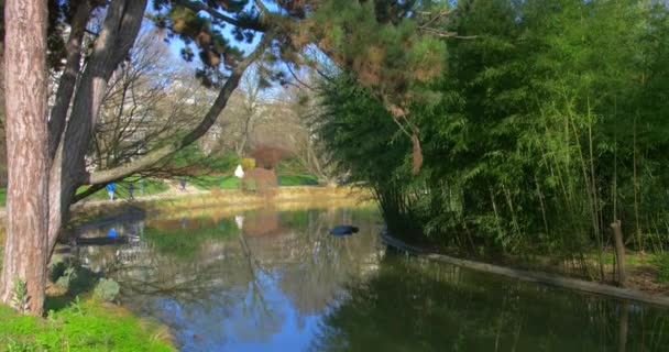 Pessoas Caminhando Longo Lagoa Stillwater Rodeado Por Árvores Parc Montsouris — Vídeo de Stock