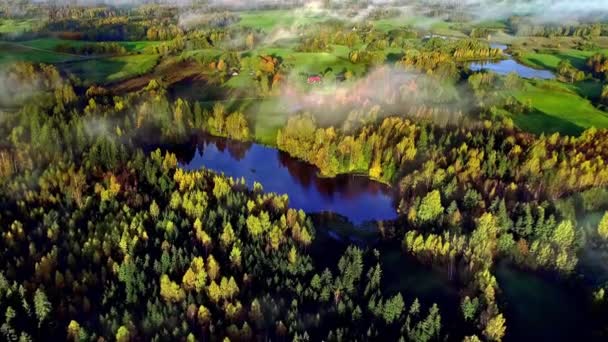 Aerial Drone Shot Idyllic Countryside Nature Landscape Grasslands One Side — стоковое видео