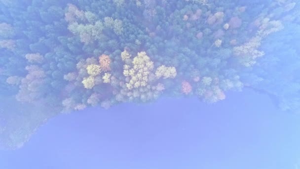 Drone Επισκόπηση Νωρίς Πρωί Ομίχλη Επιπλέουν Πάνω Από Ήρεμα Νερά — Αρχείο Βίντεο