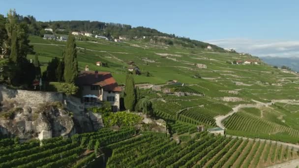 Aerial Pretty House Surrounded Vineyards Lake Geneva — Stockvideo