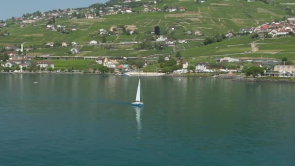4K日内瓦湖空中帆船 背景为葡萄园 — 图库视频影像