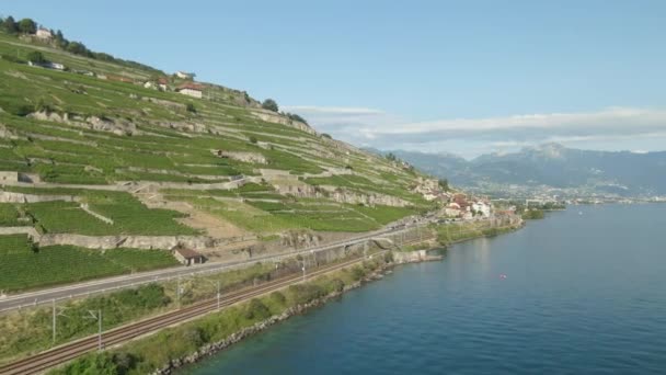 Aerial Vineyards Lake Geneva Dengan Jalur Kereta Api — Stok Video