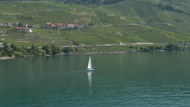 Aerial Plachetnice Ženevském Jezeře Vinicemi Pozadí — Stock video