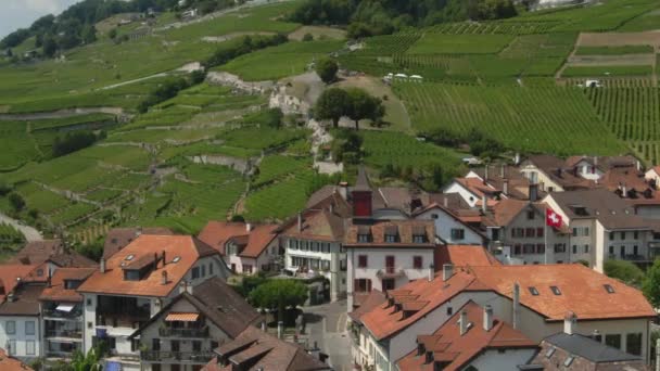 Oraș Vechi Aerian Lacul Geneva Înconjurat Podgorii Drone Closeup — Videoclip de stoc