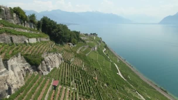 Aerial Vineyards Lake Geneva Very Incline Cliff — Stockvideo