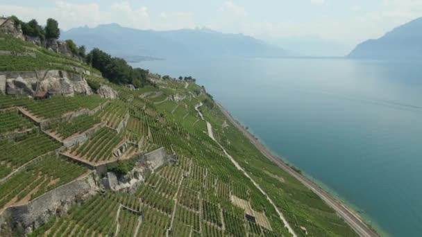 Aerial Vineyards Lake Geneva Very Incline Cliff Drone Dolly Wide — Stock video