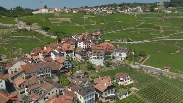 Aerial Old Town Lake Geneva Surrounded Vineyards Drone Dolly Out — Video