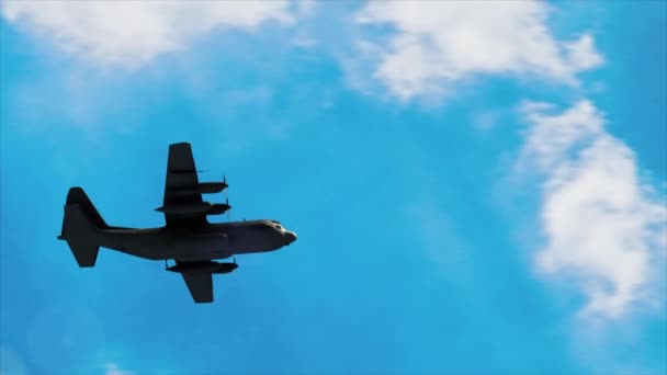 Aerial 130 Überflug — Stockvideo