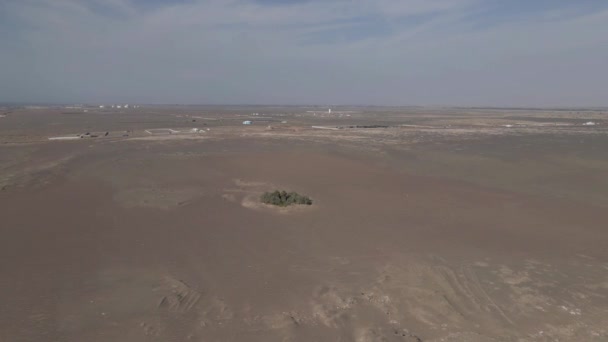 Luchtfoto Kleine Oase Van Bomen Eindeloze Uitgestrektheid Van Chala Woestijn — Stockvideo