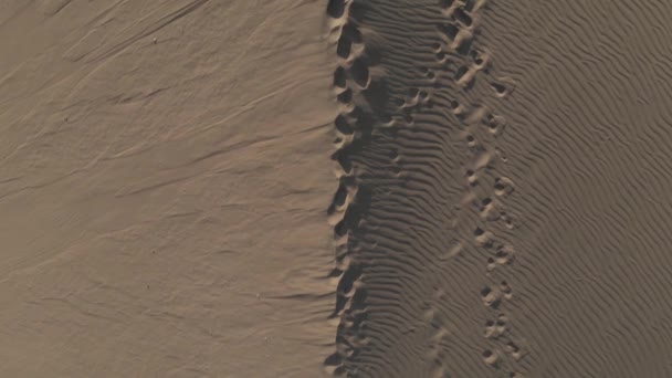 トップダウン空中の砂砂丘のクレストとともに足跡でさざ波砂 — ストック動画