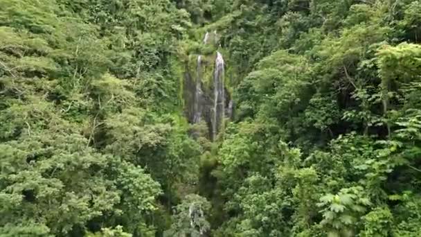 Drone Aerial Shot Zooming Waterfall Surrounded Trees — Stockvideo