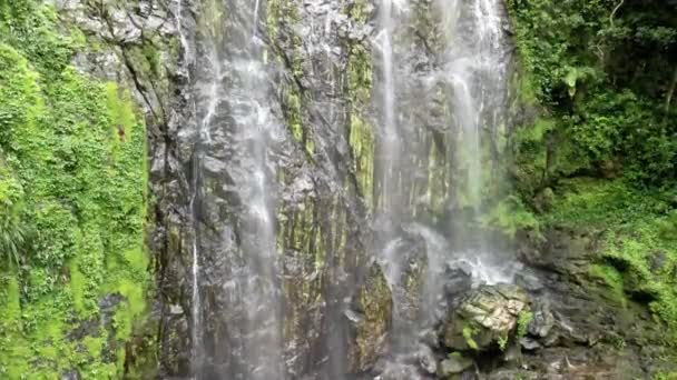 Drone Aerial Shot Zooming Waterfall Surrounded Moss — стоковое видео