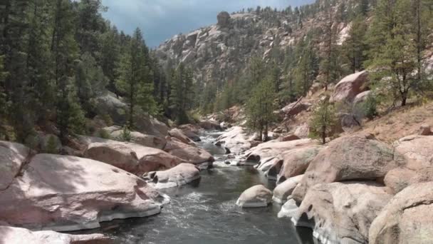 Low Aerial Follows Stream Rocky Cheesman Canyon Colorado — ストック動画