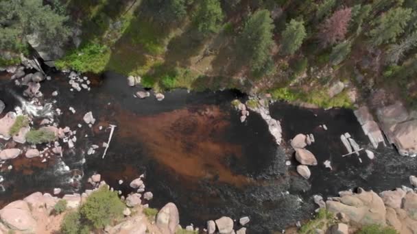 Pittoreska Grunda Fjällälven Rinner Genom Sommaren Boreal Skog — Stockvideo