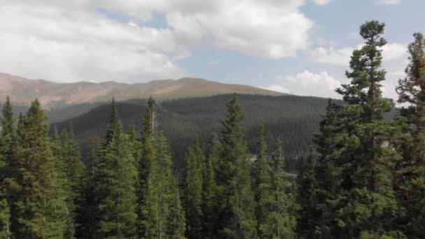 Voo Aéreo Através Árvores Florestais Verdes Para Hoosier Pass — Vídeo de Stock