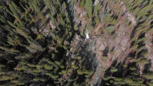 Flygfoto Stryktålig Bäck Skär Ravinen Genom Stenig Fjällskog — Stockvideo