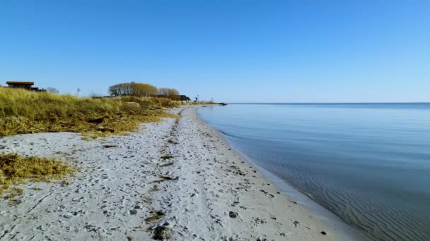 Cloudless Blue Skies Stretch Coastline Calm Waters Kuznica Poland Forward — Wideo stockowe