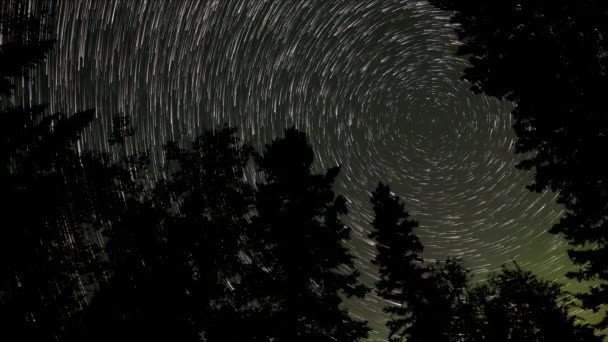 Looking Night Sky Tree Silhouettes Star Trails Flashing Aurora — Vídeo de Stock