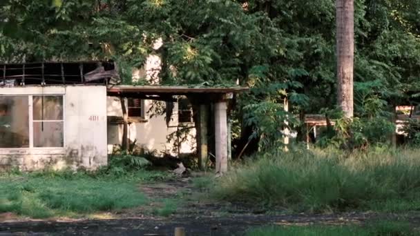 Destroyed Abandoned Deteriorating House State Decay Surrouned Leafy Dense Vegetation — Stockvideo