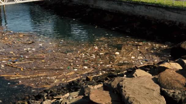 Debris Wood Plastic Trash Floating Coast Brought Ocean Current Displays — стоковое видео