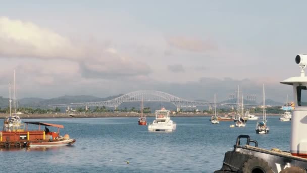 Hermosa Vista Del Terraplén Del Canal Panamá Con Muchos Barcos — Vídeos de Stock