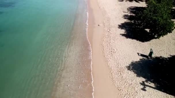 Drone Beach Take Crystal Clear Blue Water Beach Palm Trees — Vídeo de stock